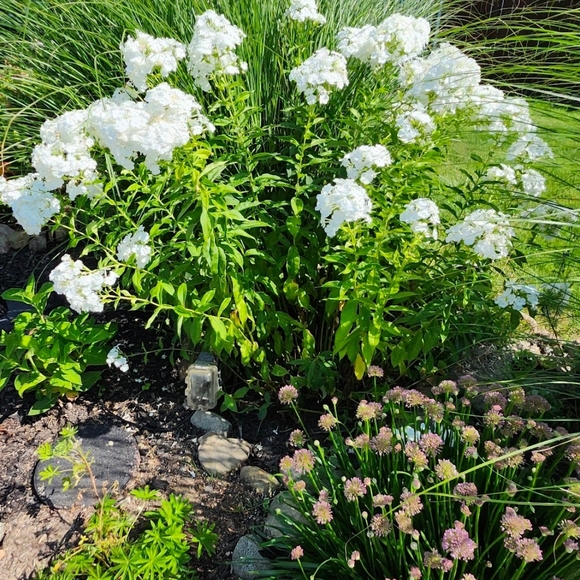 Meet your Posher, Becky - Picture 1 of 1